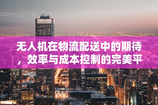 无人机在物流配送中的期待，效率与成本控制的完美平衡？