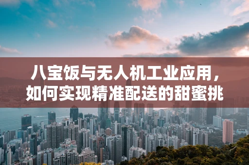 八宝饭与无人机工业应用，如何实现精准配送的甜蜜挑战？