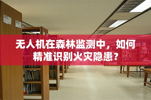 无人机在森林监测中，如何精准识别火灾隐患？