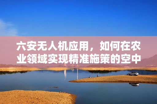 六安无人机应用，如何在农业领域实现精准施策的空中之眼？
