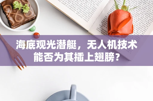 海底观光潜艇，无人机技术能否为其插上翅膀？