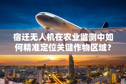 宿迁无人机在农业监测中如何精准定位关键作物区域？