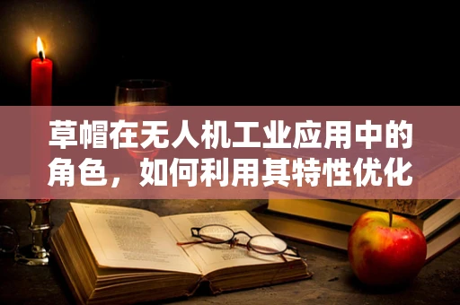 草帽在无人机工业应用中的角色，如何利用其特性优化飞行安全与效率？