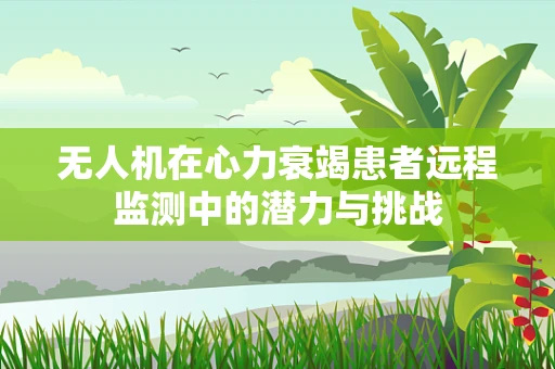 无人机在心力衰竭患者远程监测中的潜力与挑战