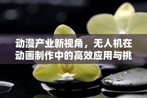 动漫产业新视角，无人机在动画制作中的高效应用与挑战
