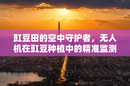 豇豆田的空中守护者，无人机在豇豆种植中的精准监测挑战
