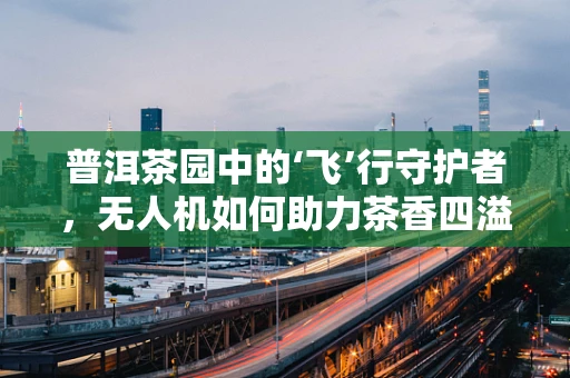 普洱茶园中的‘飞’行守护者，无人机如何助力茶香四溢？