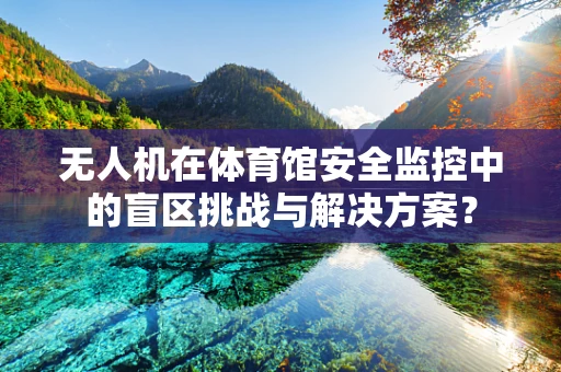 无人机在体育馆安全监控中的盲区挑战与解决方案？