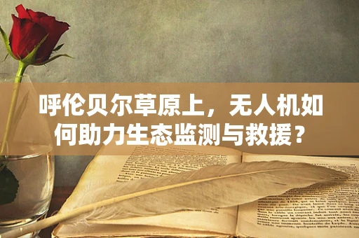 呼伦贝尔草原上，无人机如何助力生态监测与救援？