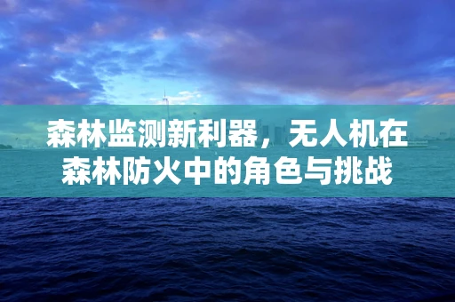 森林监测新利器，无人机在森林防火中的角色与挑战
