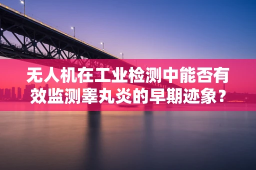 无人机在工业检测中能否有效监测睾丸炎的早期迹象？