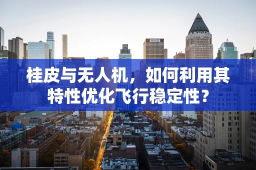 桂皮与无人机，如何利用其特性优化飞行稳定性？