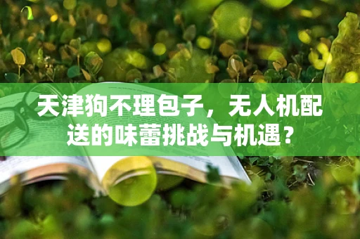 天津狗不理包子，无人机配送的味蕾挑战与机遇？