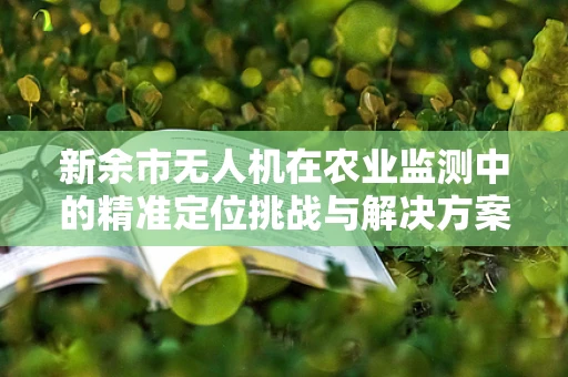 新余市无人机在农业监测中的精准定位挑战与解决方案