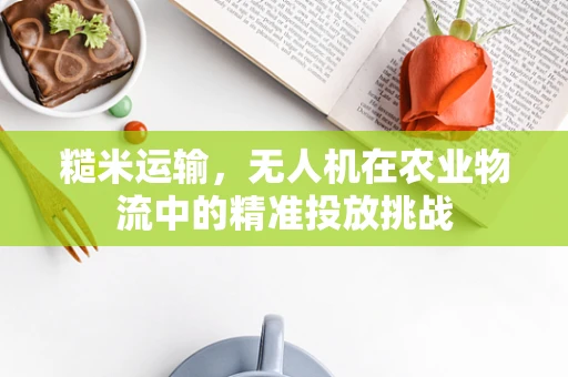 糙米运输，无人机在农业物流中的精准投放挑战