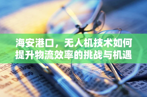 海安港口，无人机技术如何提升物流效率的挑战与机遇？