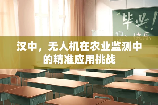 汉中，无人机在农业监测中的精准应用挑战