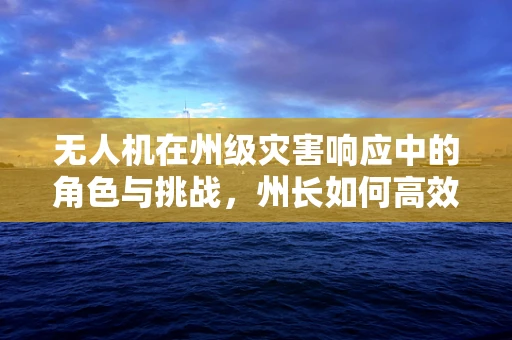 无人机在州级灾害响应中的角色与挑战，州长如何高效利用？
