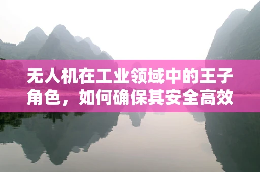 无人机在工业领域中的王子角色，如何确保其安全高效地执行任务？