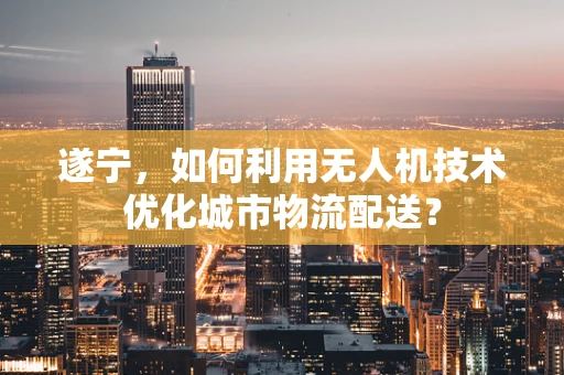 遂宁，如何利用无人机技术优化城市物流配送？