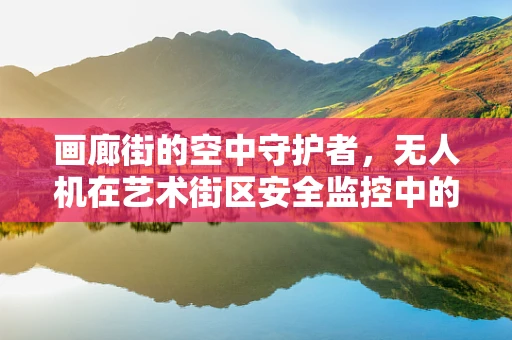 画廊街的空中守护者，无人机在艺术街区安全监控中的应用挑战