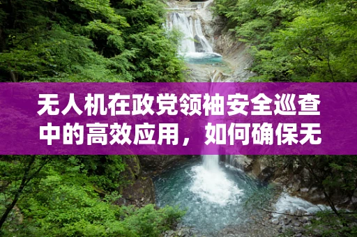无人机在政党领袖安全巡查中的高效应用，如何确保无懈可击的空中监控？