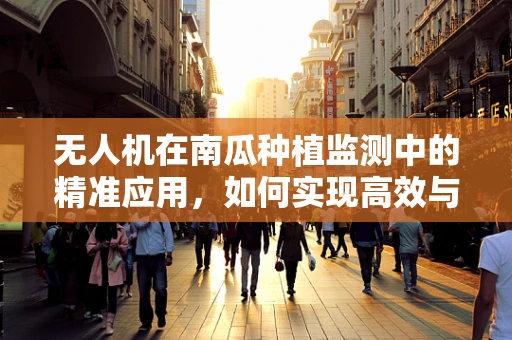 无人机在南瓜种植监测中的精准应用，如何实现高效与精准？