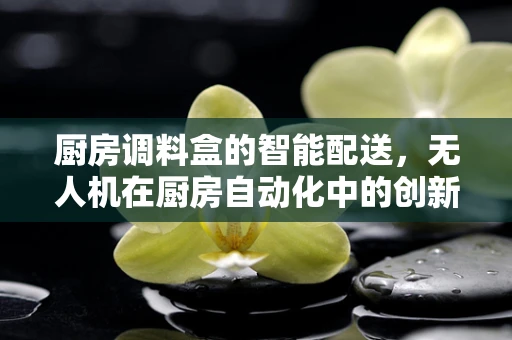 厨房调料盒的智能配送，无人机在厨房自动化中的创新应用？