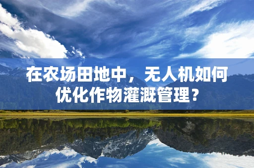 在农场田地中，无人机如何优化作物灌溉管理？