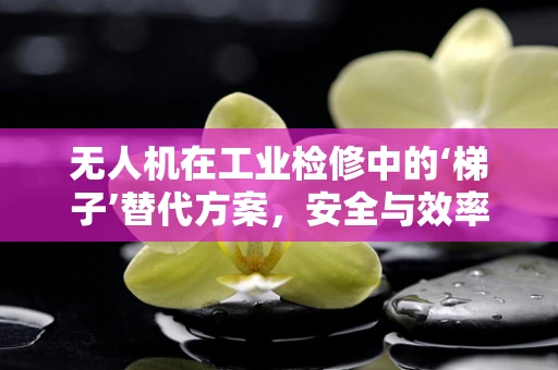 无人机在工业检修中的‘梯子’替代方案，安全与效率的双重挑战