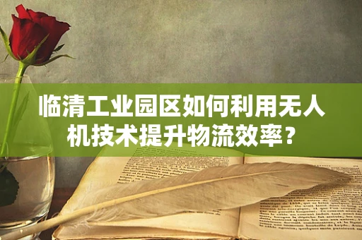 临清工业园区如何利用无人机技术提升物流效率？