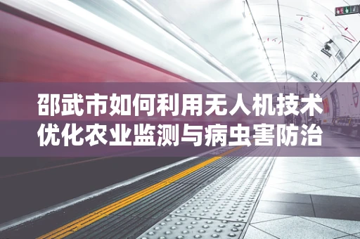 邵武市如何利用无人机技术优化农业监测与病虫害防治？