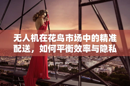 无人机在花鸟市场中的精准配送，如何平衡效率与隐私？