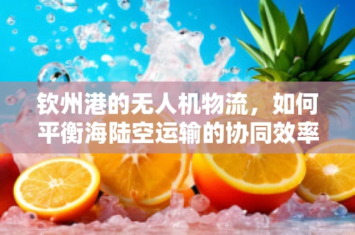钦州港的无人机物流，如何平衡海陆空运输的协同效率？