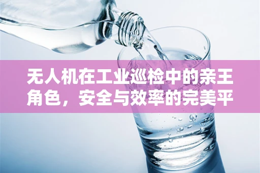 无人机在工业巡检中的亲王角色，安全与效率的完美平衡？