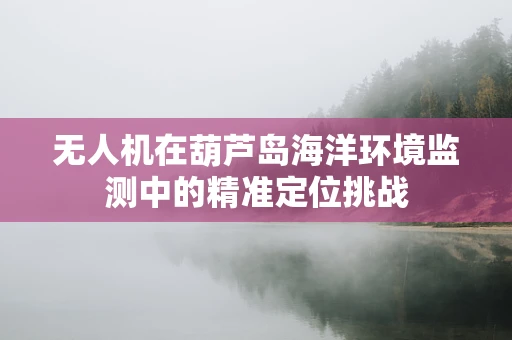 无人机在葫芦岛海洋环境监测中的精准定位挑战