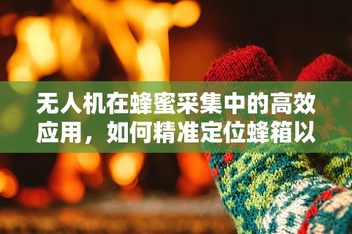 无人机在蜂蜜采集中的高效应用，如何精准定位蜂箱以提高采集效率？