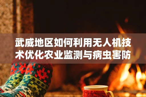武威地区如何利用无人机技术优化农业监测与病虫害防控？