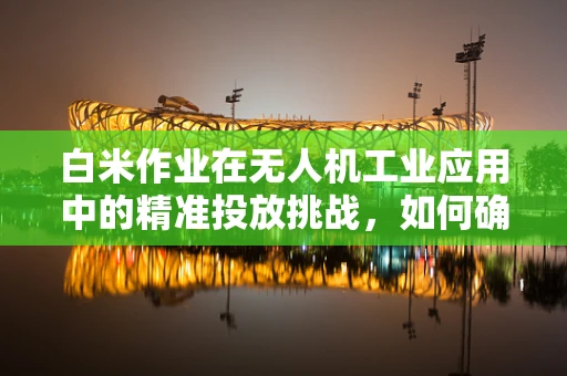 白米作业在无人机工业应用中的精准投放挑战，如何确保高效且无损？
