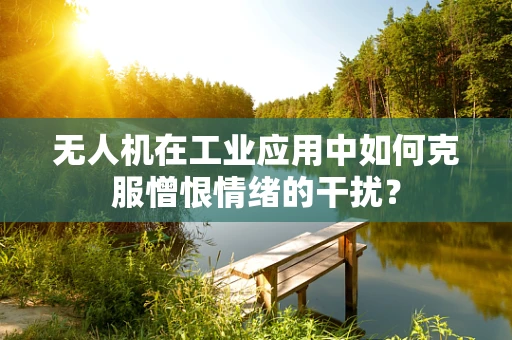 无人机在工业应用中如何克服憎恨情绪的干扰？