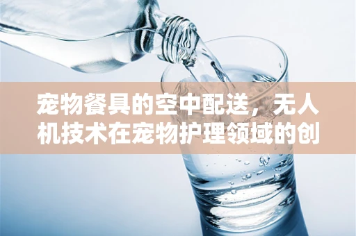 宠物餐具的空中配送，无人机技术在宠物护理领域的创新应用？
