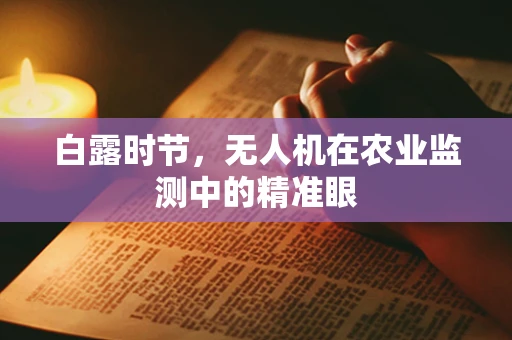 白露时节，无人机在农业监测中的精准眼