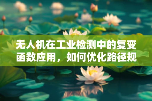 无人机在工业检测中的复变函数应用，如何优化路径规划以提升检测效率？