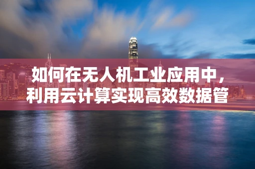 如何在无人机工业应用中，利用云计算实现高效数据管理与分析？