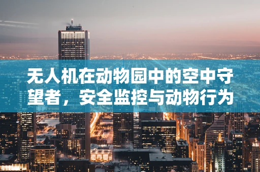 无人机在动物园中的空中守望者，安全监控与动物行为研究的新篇章？