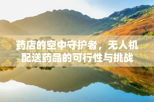 药店的空中守护者，无人机配送药品的可行性与挑战