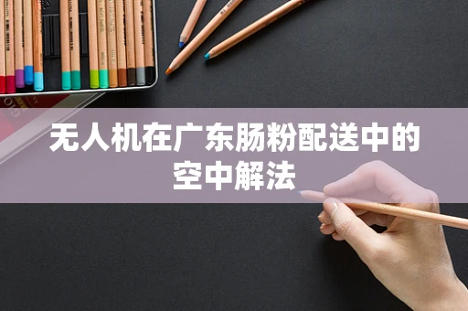 无人机在广东肠粉配送中的空中解法
