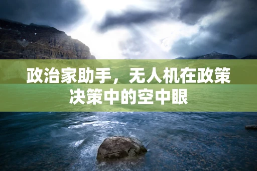 政治家助手，无人机在政策决策中的空中眼