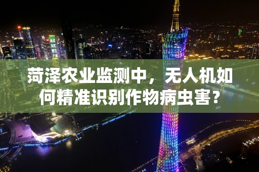 菏泽农业监测中，无人机如何精准识别作物病虫害？