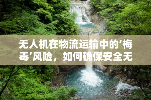 无人机在物流运输中的‘梅毒’风险，如何确保安全无虞？